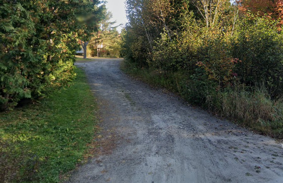 A dirt road surrounded by greenery and trees.