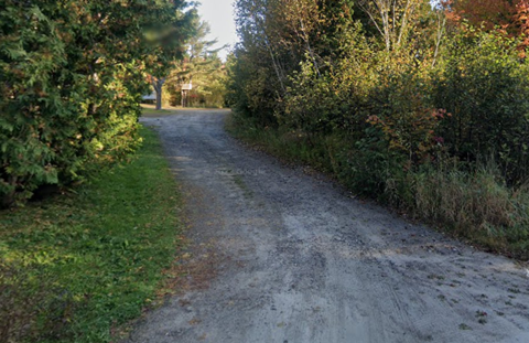 A dirt road surrounded by greenery and trees.