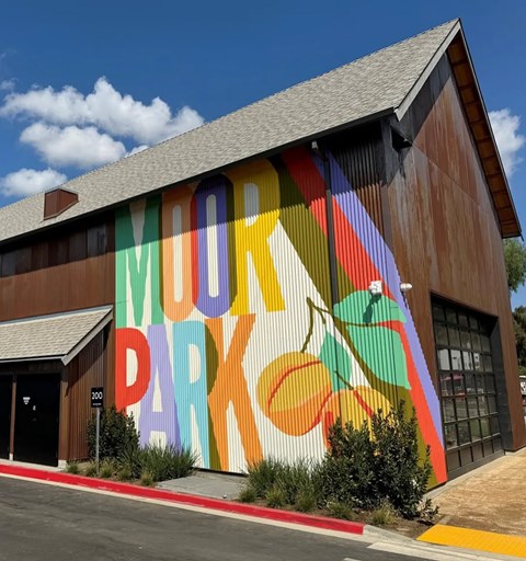 A colorful mural on the side of a building with the words "MOUNTAIN PARK" written on it.