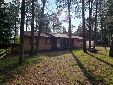 A house is surrounded by trees and has a grassy yard.