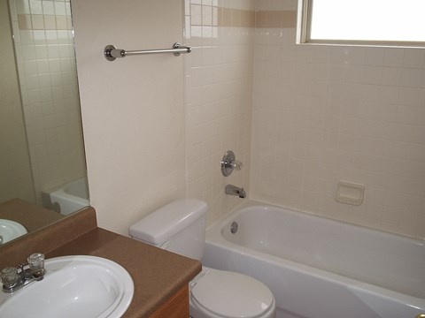1604 Columbine Village Drive 4 Beds Apartment for Rent