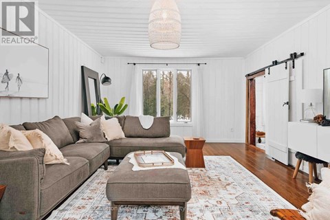 A living room with a grey sofa and a rug.