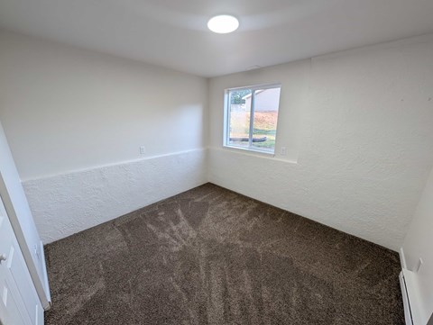 A room with a carpeted floor and a window.