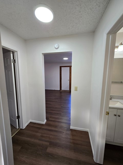 A hallway with a light on the ceiling and a door on the left.