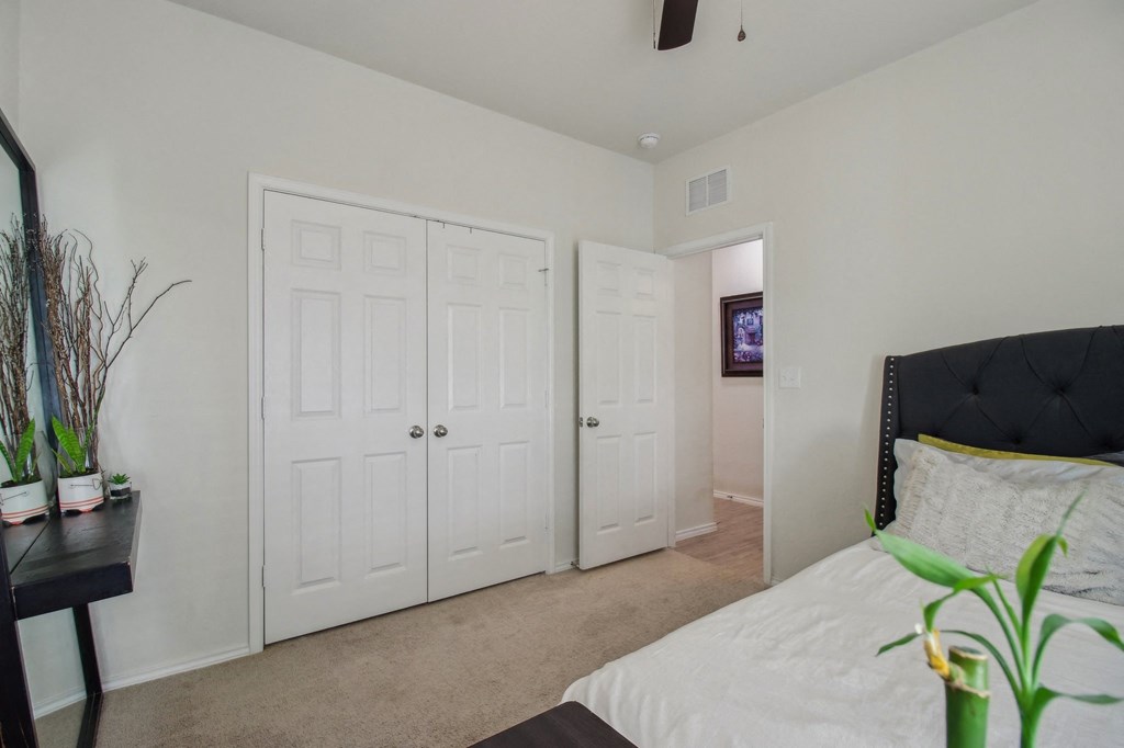 A bedroom with a bed, a plant, and a TV in the background.