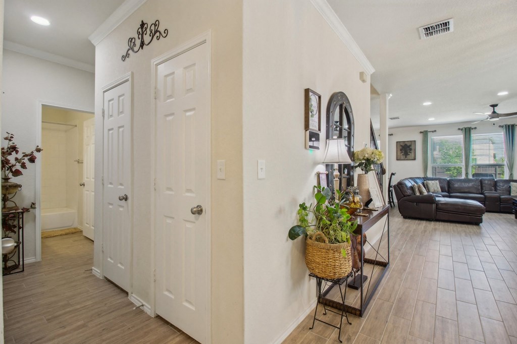 A white door with a plant on a table in front of it.