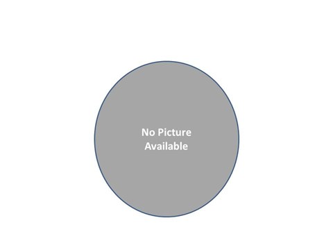 A grey circle with the text "No Picture Available" in the center.