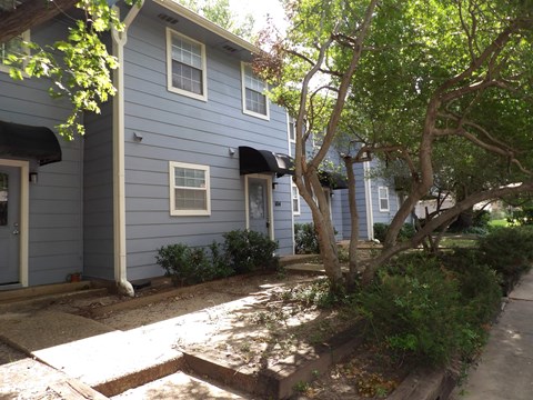 A tree in front of a blue house.