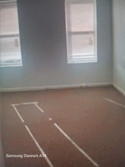 A room with a Samsung Dianna A14 carpet.