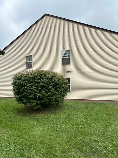 A small green bush is in front of a tan building.