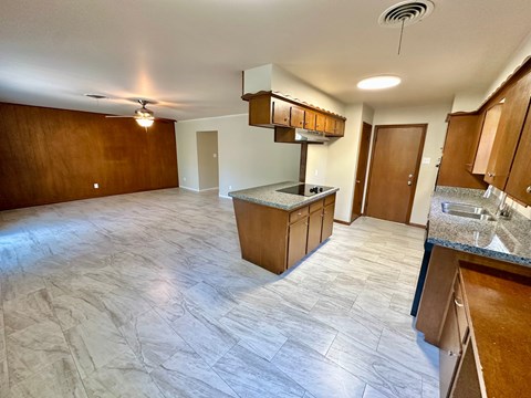 A kitchen with a countertop and cabinets.