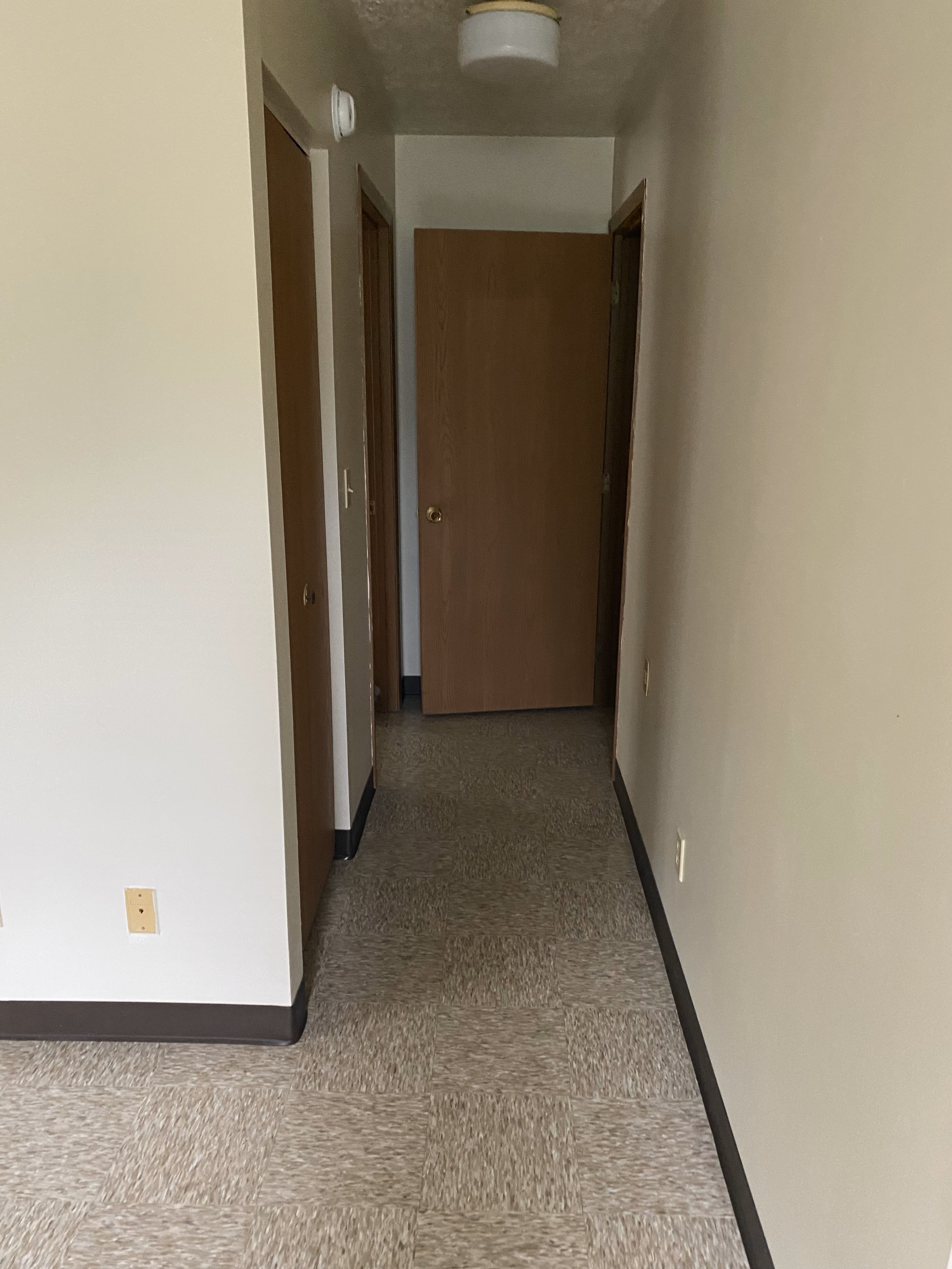 A hallway with a carpeted floor and two doors.