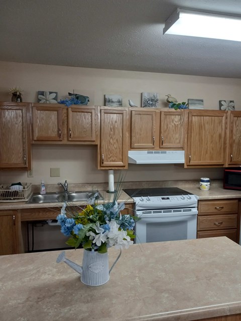 A kitchen with wooden cabinets and a white dishwasher.
