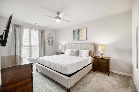 A bedroom with a large bed, a ceiling fan, and a nightstand with a lamp.