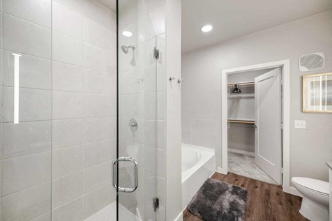 A bathroom with a walk-in shower and a toilet.