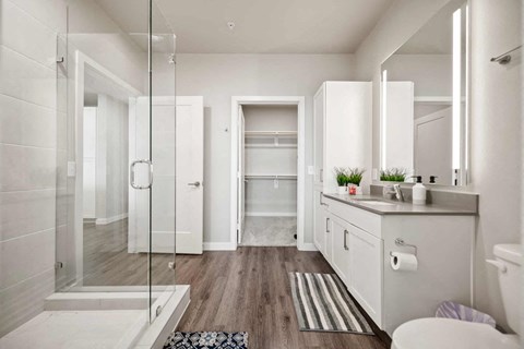 A modern bathroom with a walk-in shower and double vanity.