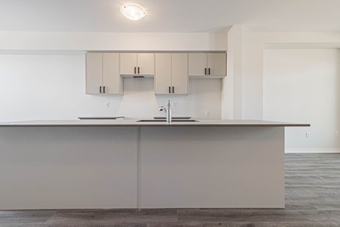 A kitchen with a white counter and cabinets.