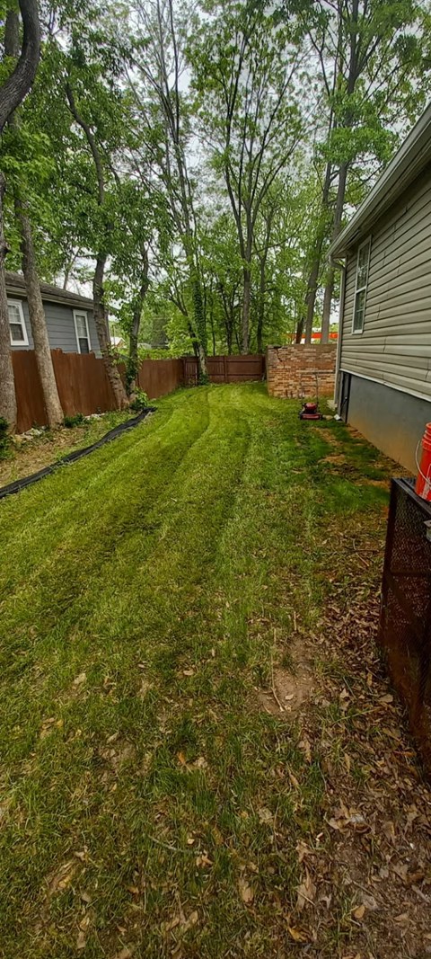 A backyard with a green lawn and trees.