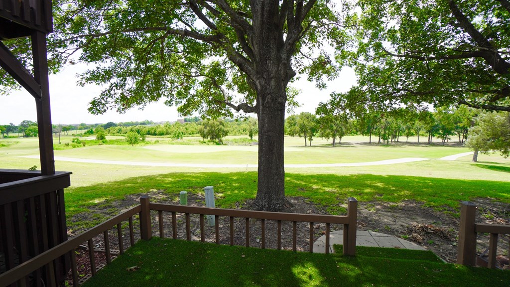 A tree stands in a grassy field.