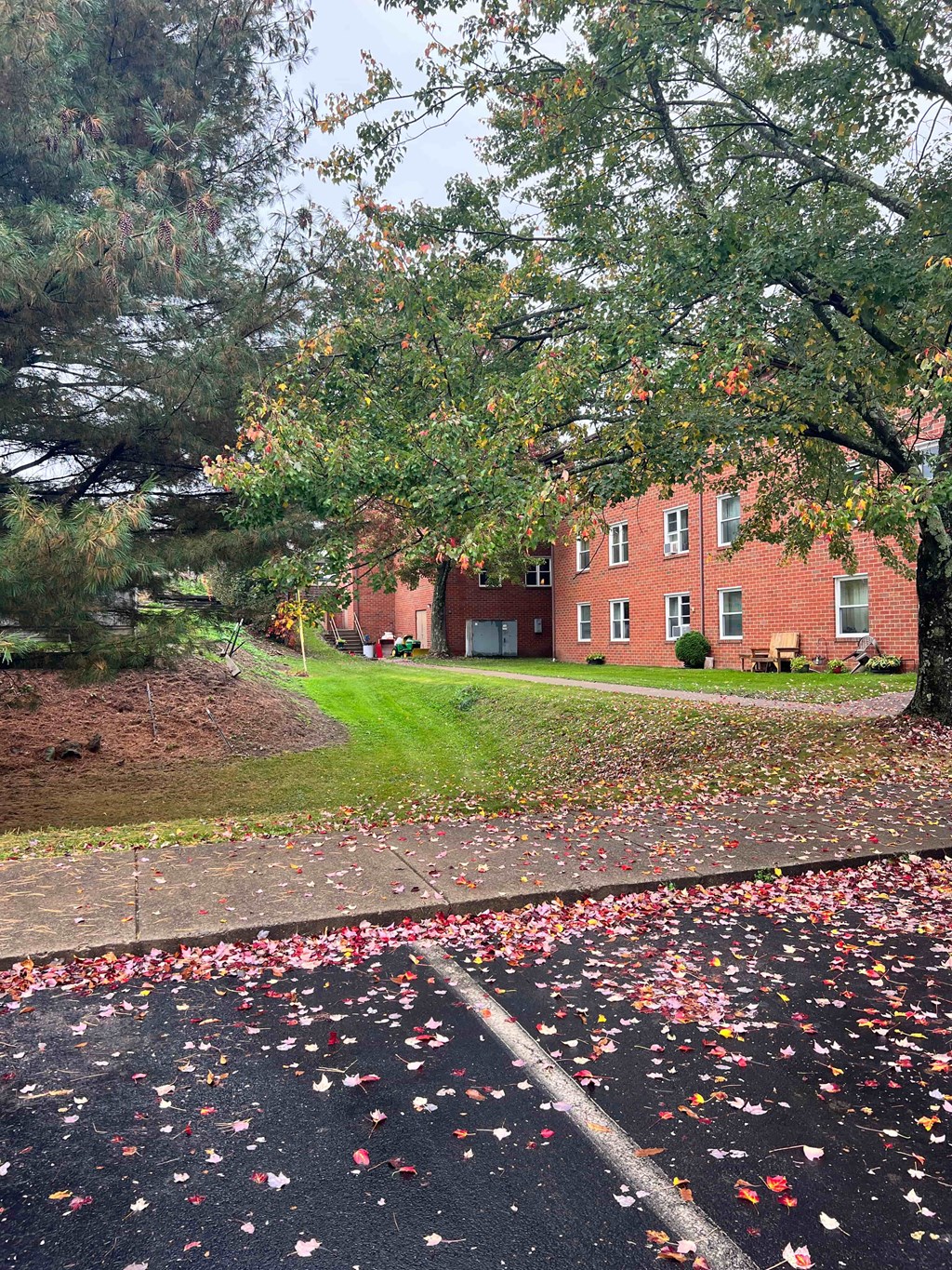 A tree with red and green leaves is in front of a red brick building.
