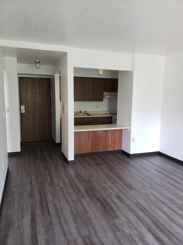 A room with a kitchen area and a doorway.