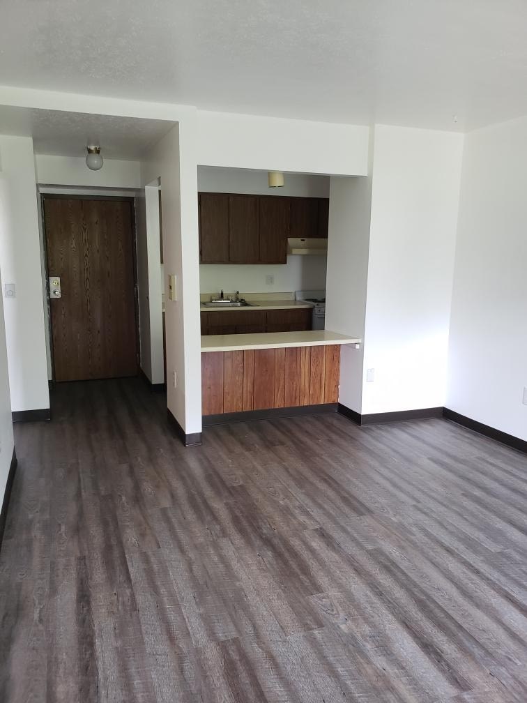 A room with a kitchen area and a door.