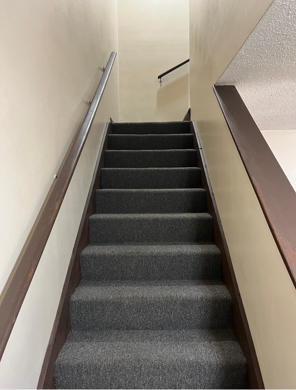 A staircase with a carpeted runner and wooden handrails.