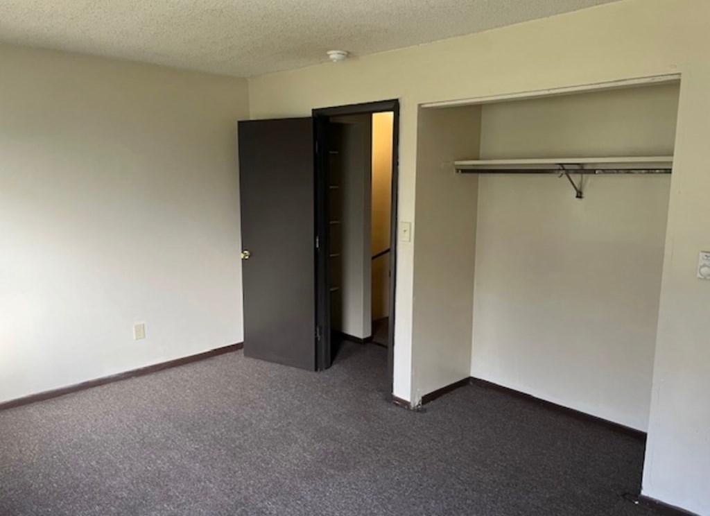 A room with a black door and a grey carpet.