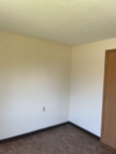 A room with a brown carpet and a white wall.