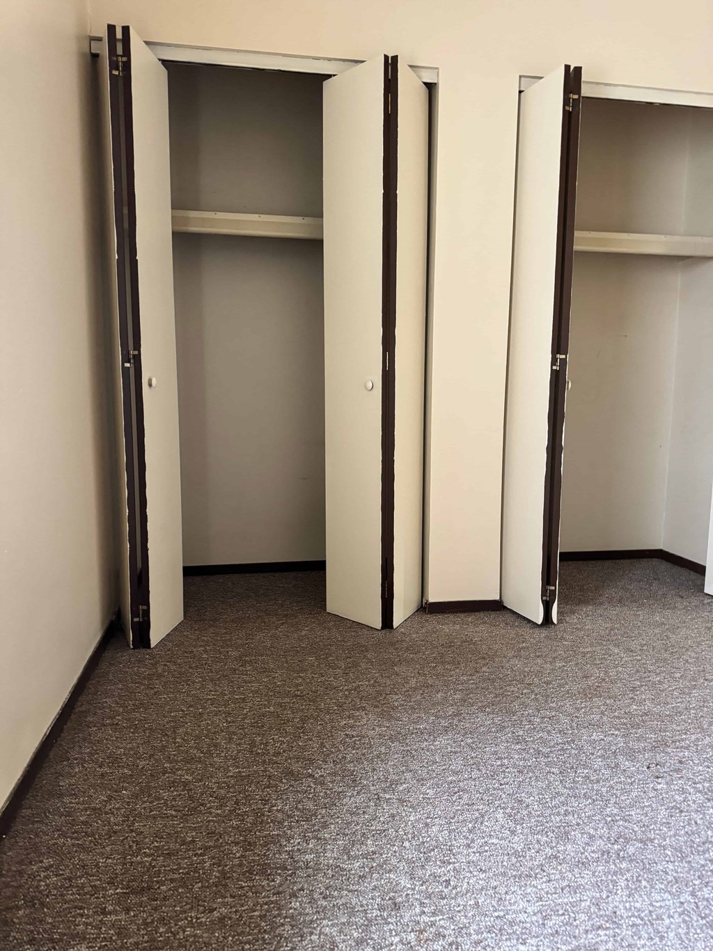 A room with a carpeted floor and three open closet doors.