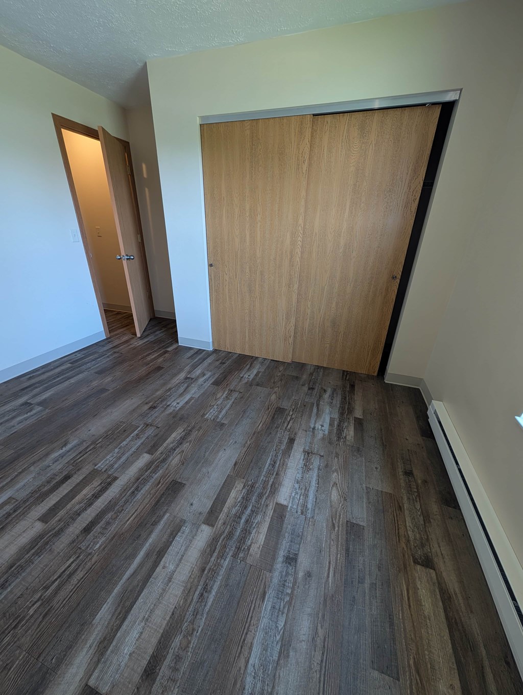 A room with a wooden floor and two wooden doors.