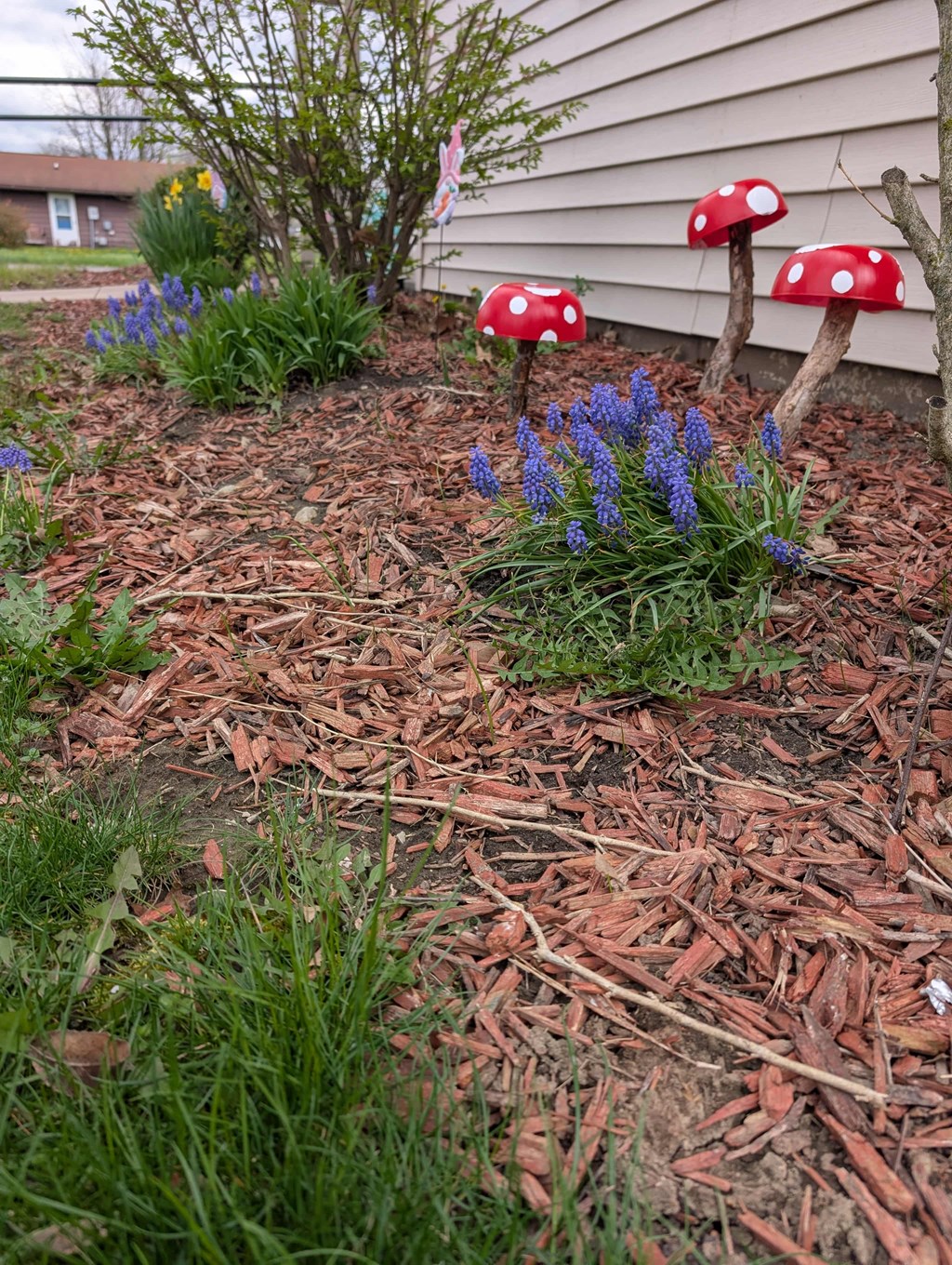 A garden with red toadstools and blue flowers.