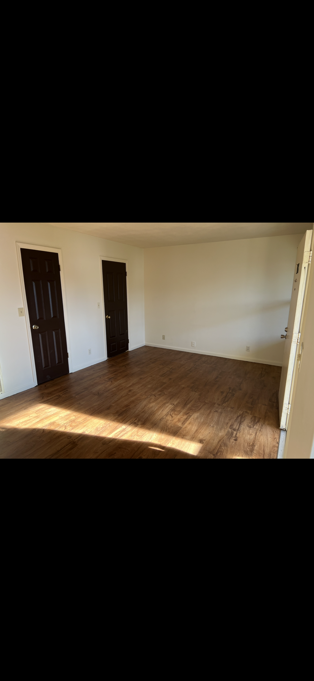 A room with wooden floors and two doors.