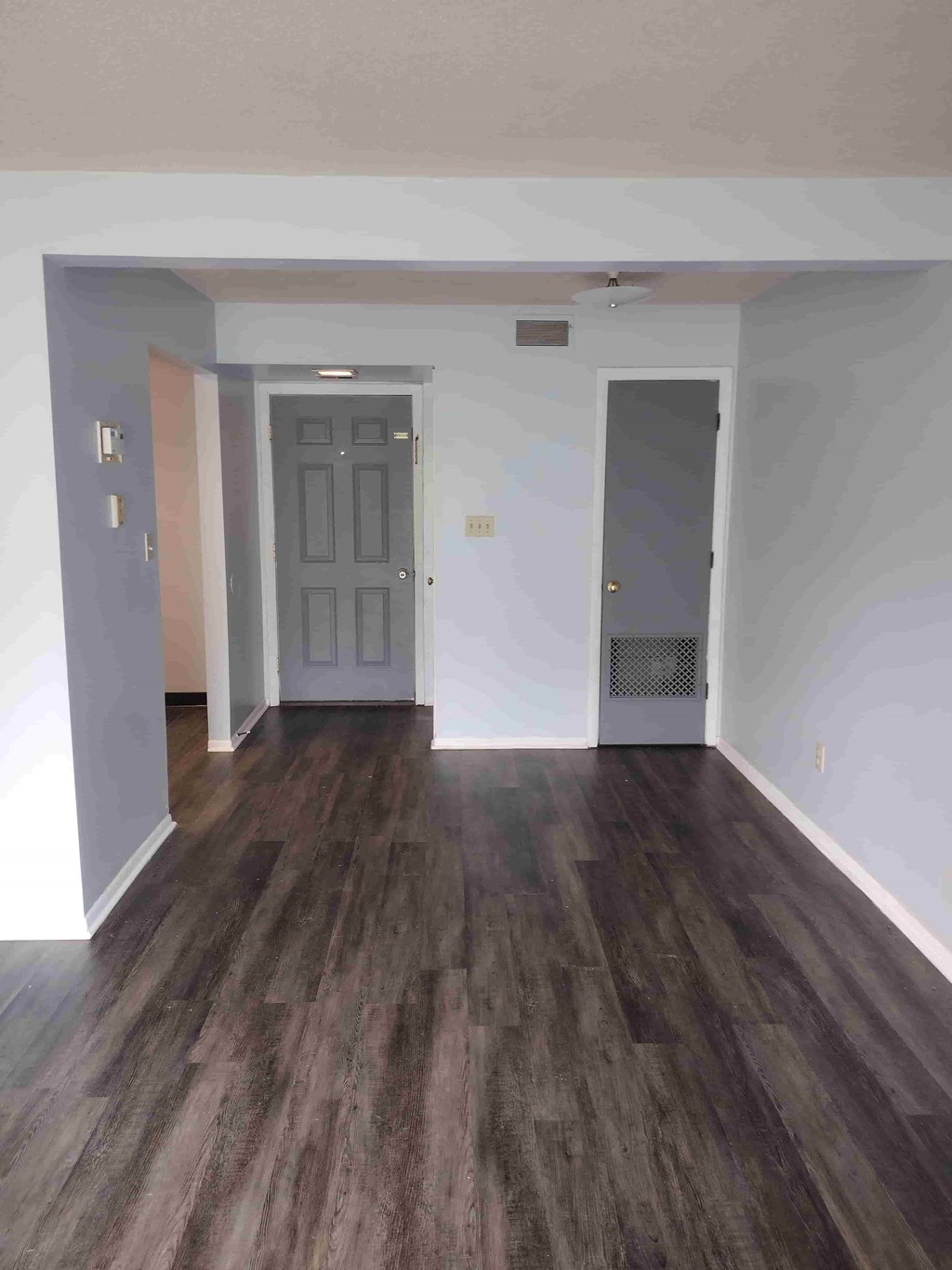 A room with a dark wood floor and a grey door.