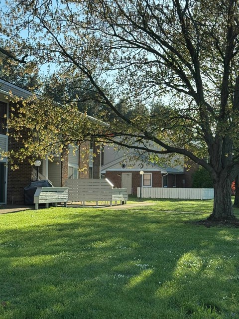 A tree with green leaves stands in a grassy area in front of a house.