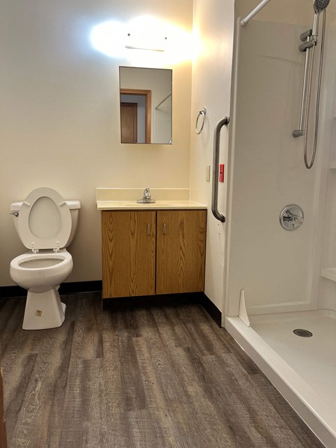 A bathroom with a toilet, sink, and shower.