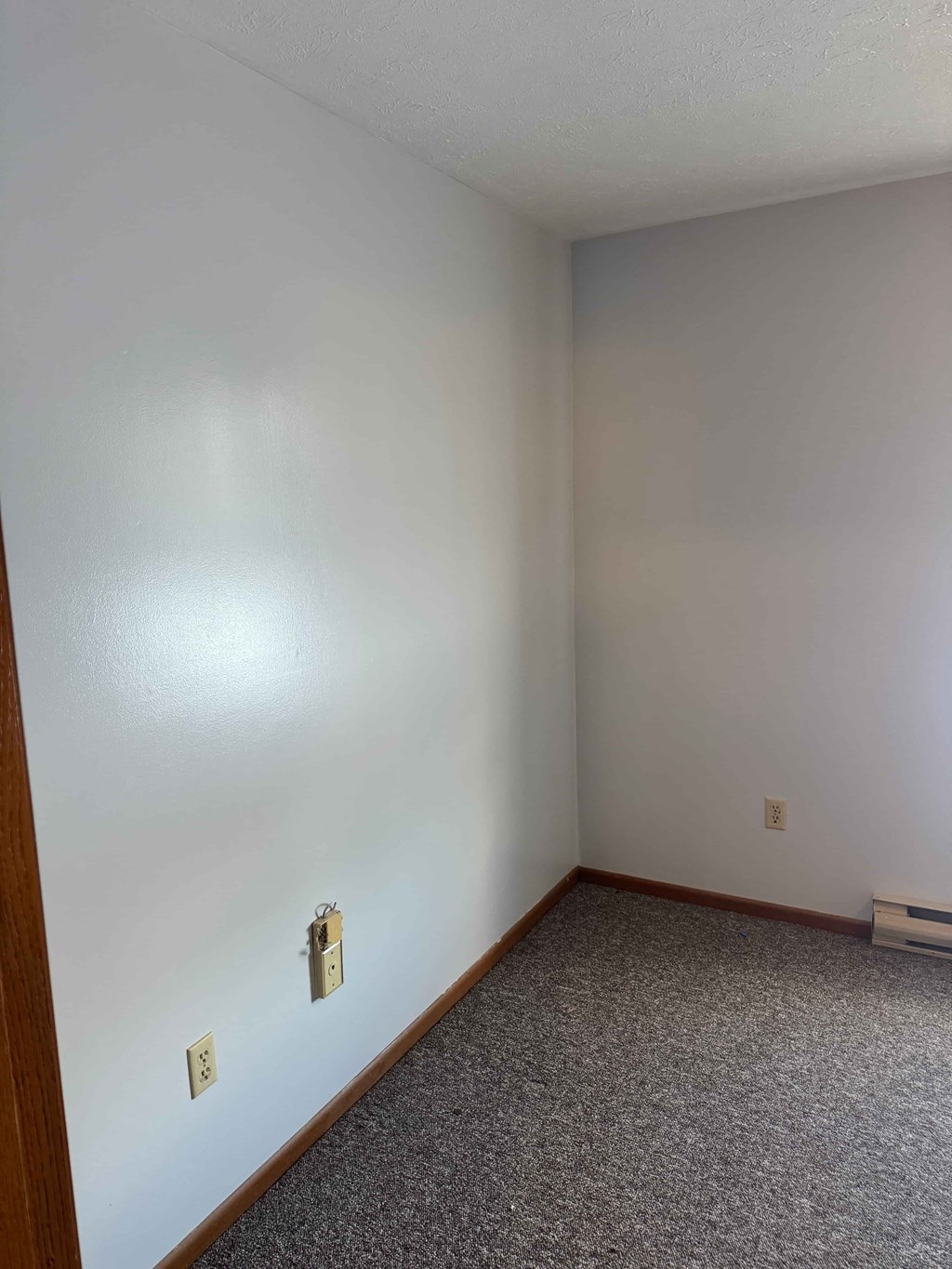 A room with a carpeted floor and two switches on the wall.