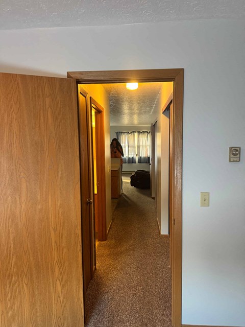 A hallway with a brown door and a carpeted floor.
