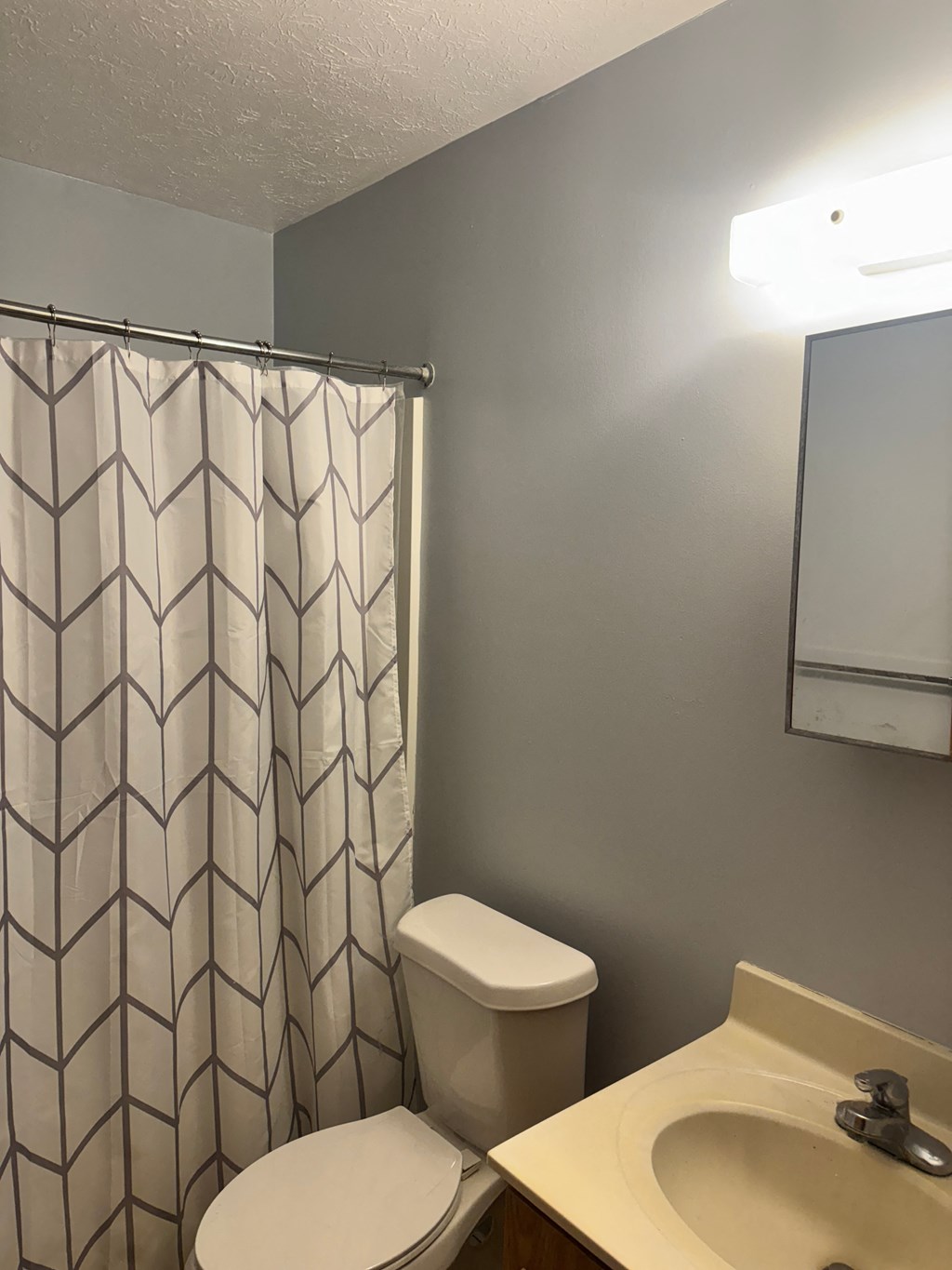 A bathroom with a toilet, sink, and shower curtain.