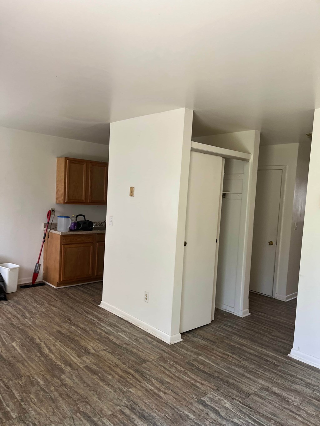 A room with a white door and a brown cabinet.