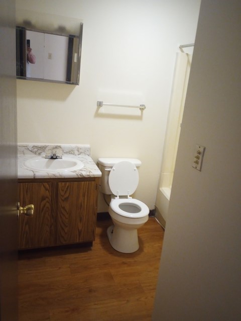A white toilet sits in a small bathroom next to a sink.