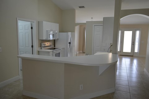 A kitchen with a counter and cabinets.