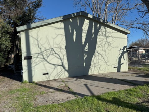 A green building with a tree shadow on it.