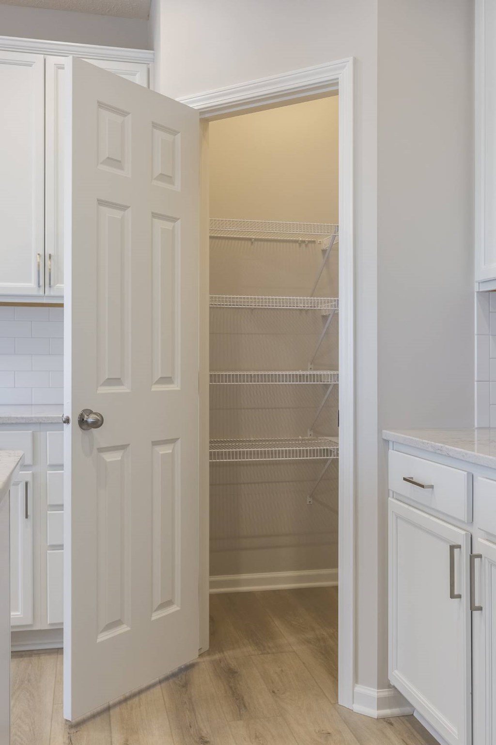 A white door is open to a walk-in pantry.