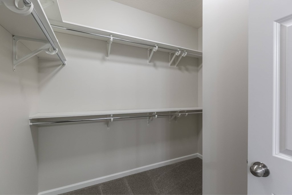 A white closet with a white door and a grey carpet.