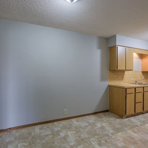A kitchen area with a sink and cabinets.