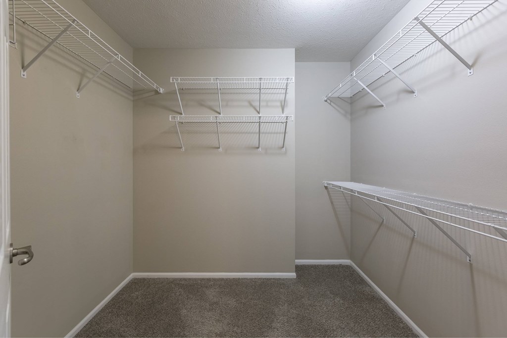 Empty walk-in closet with white shelving.