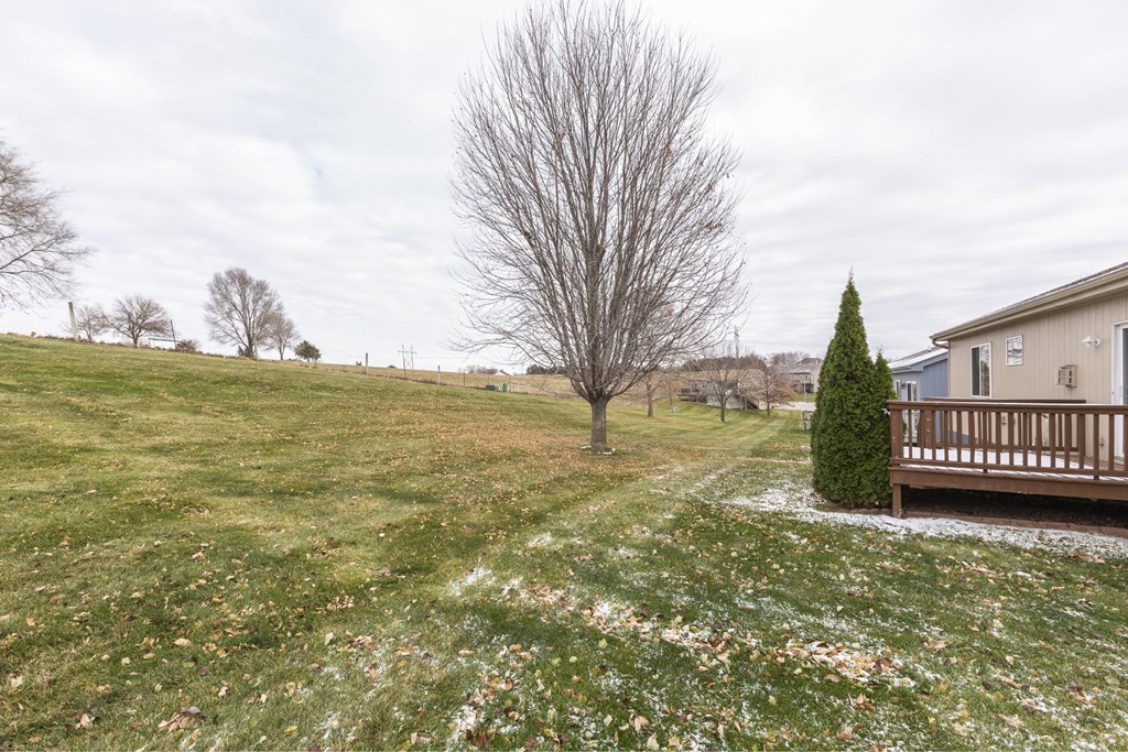 A leafless tree stands in a grassy field with a house in the background.