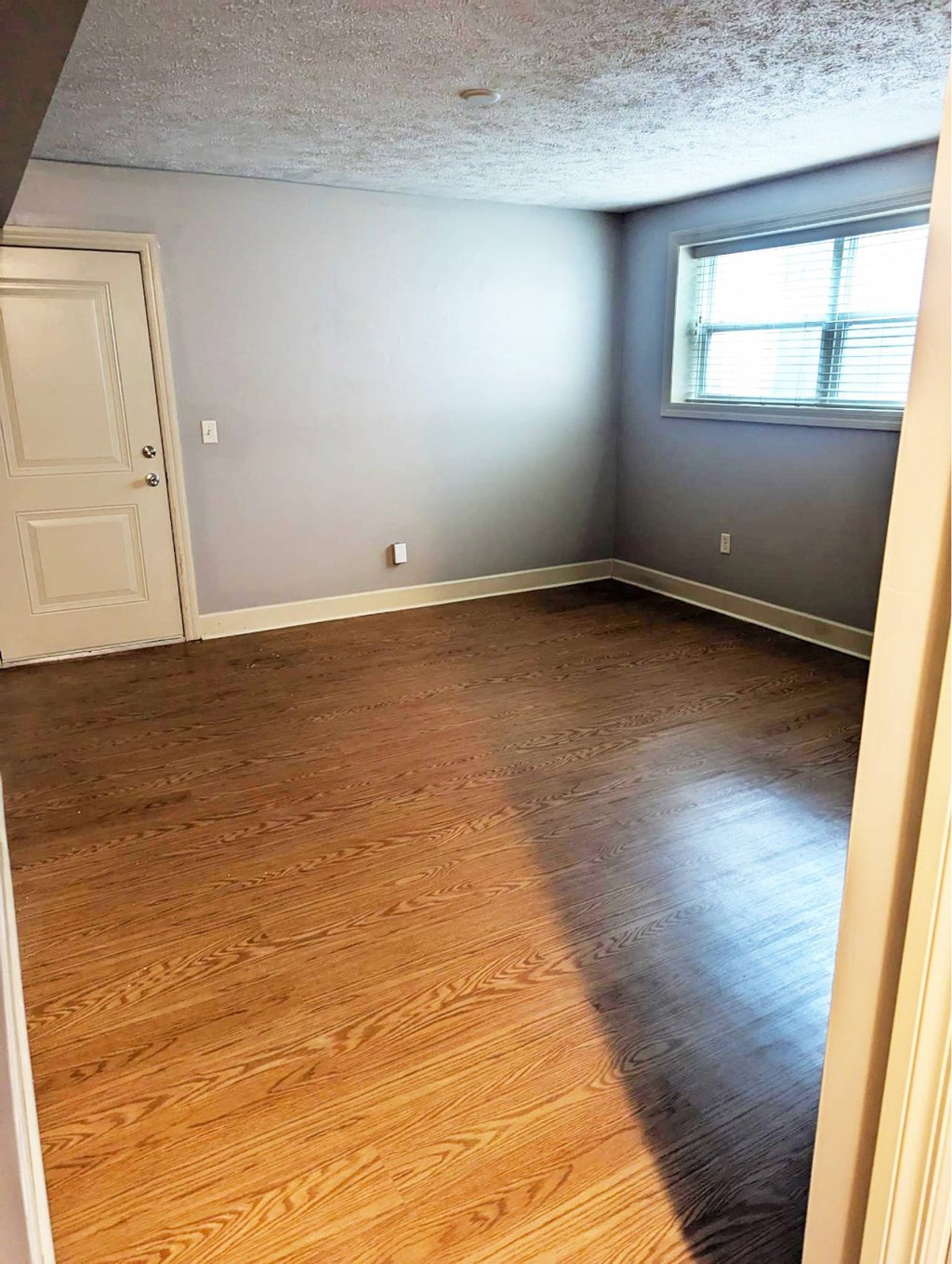 A room with wooden flooring and a door.