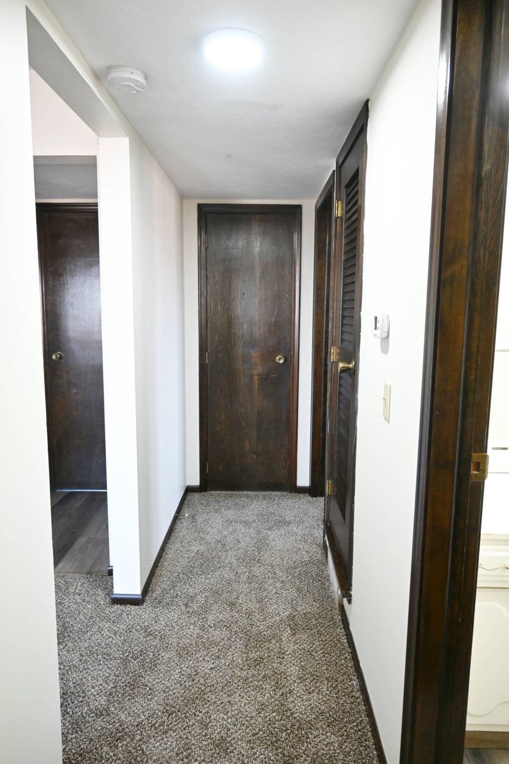 A hallway with a carpeted floor and two doors.